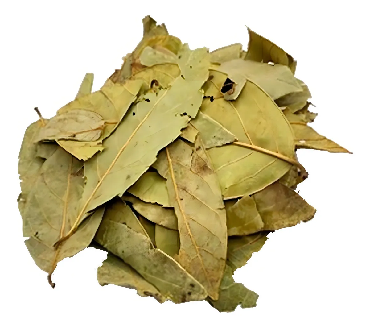 Chás Folhas de Graviola À Granel.